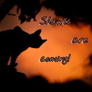 Knitted shawls are coming!